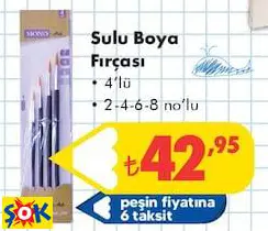 SULU BOYA FIRÇASI 4'LÜ